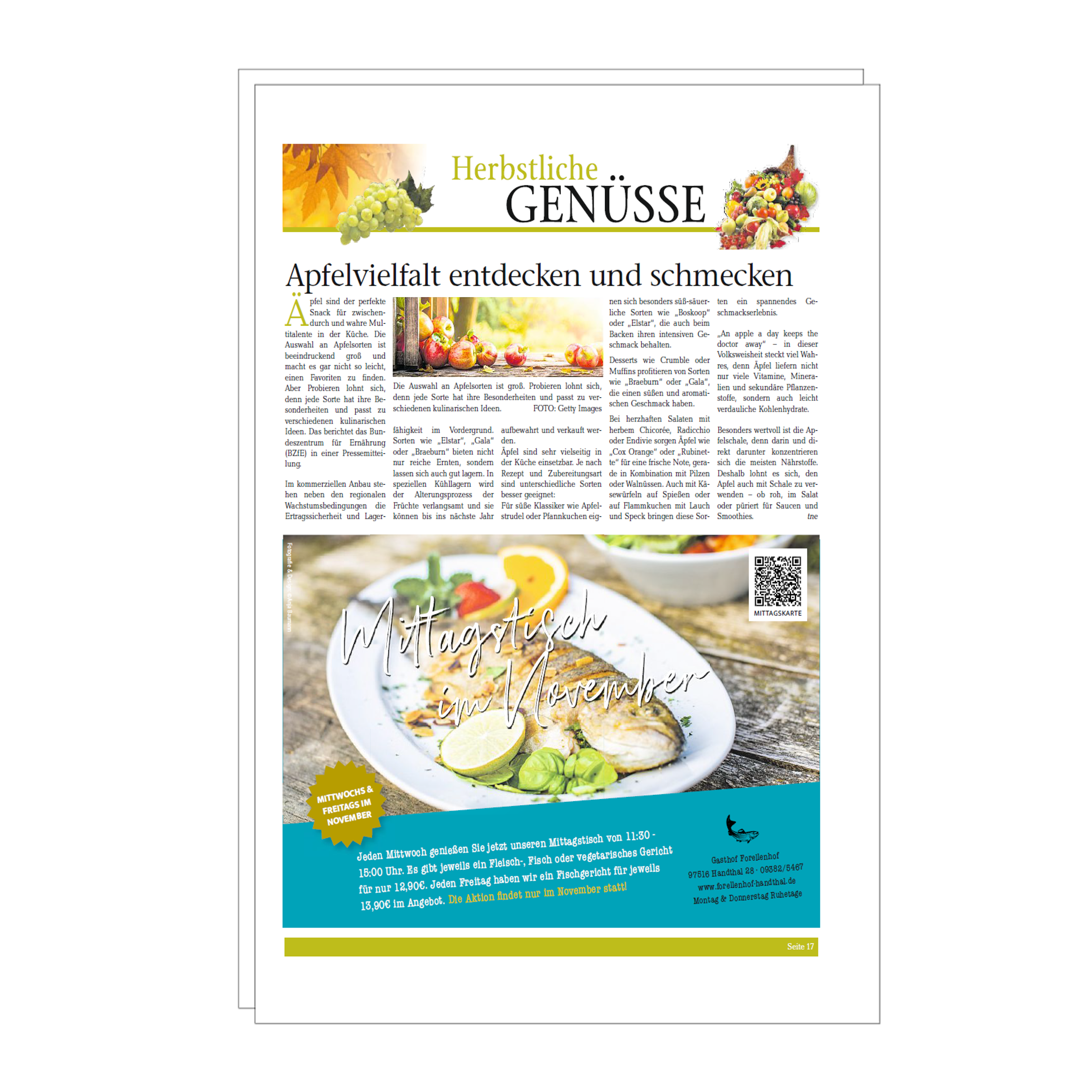 Halbseitige Anzeige – Bild 2