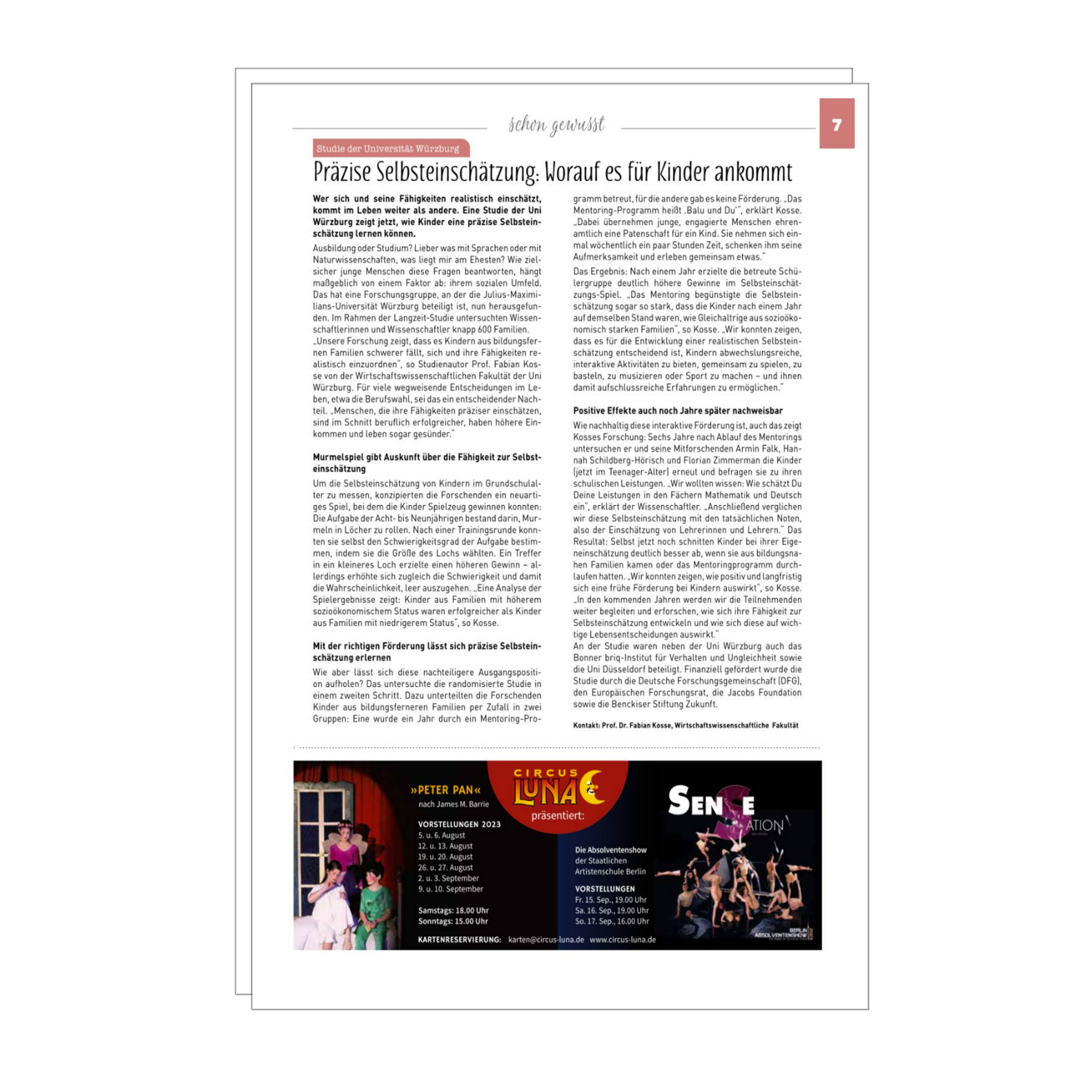 1/3 Seite quer & Displaywerbung – Bild 2