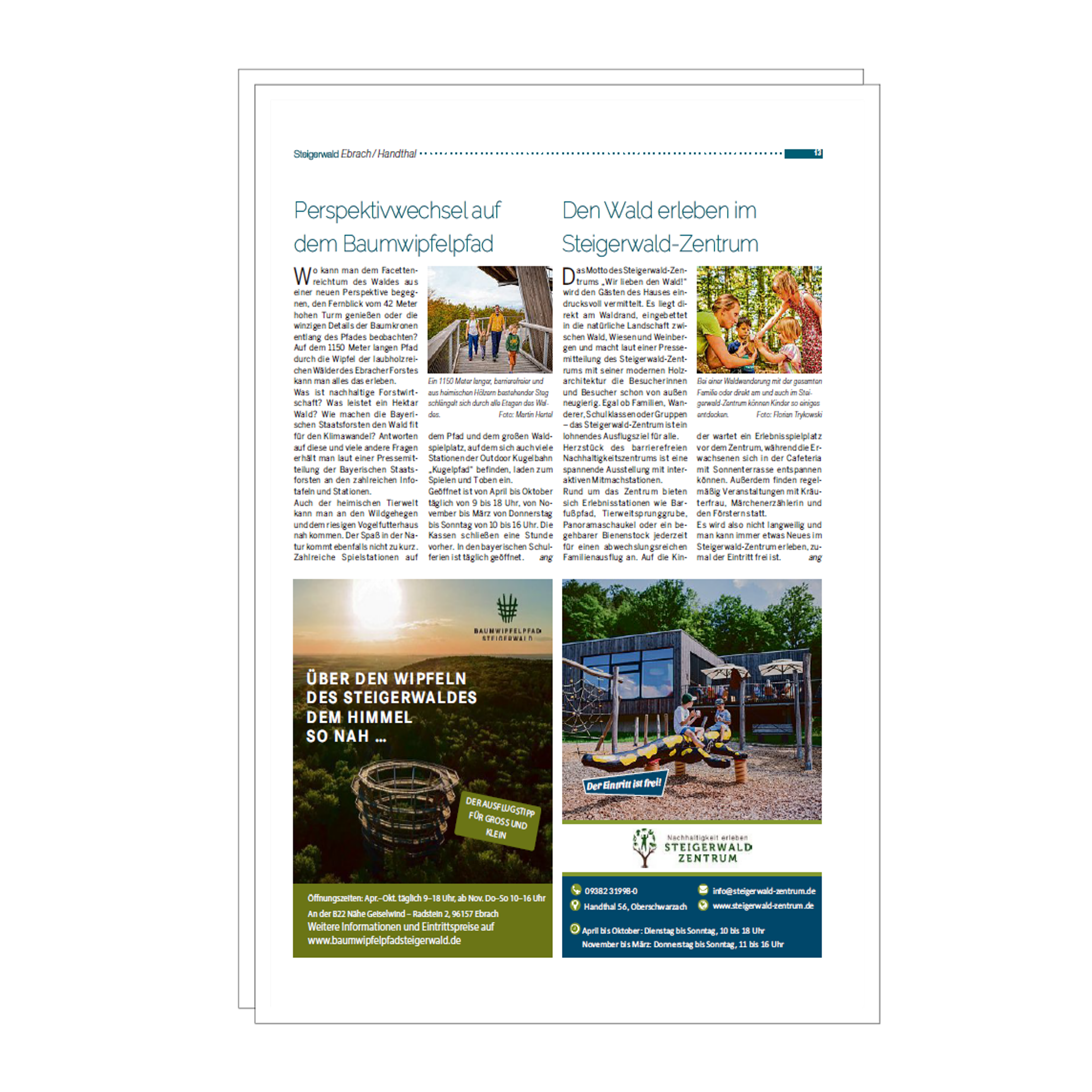 1/4 Seite hoch – Bild 2